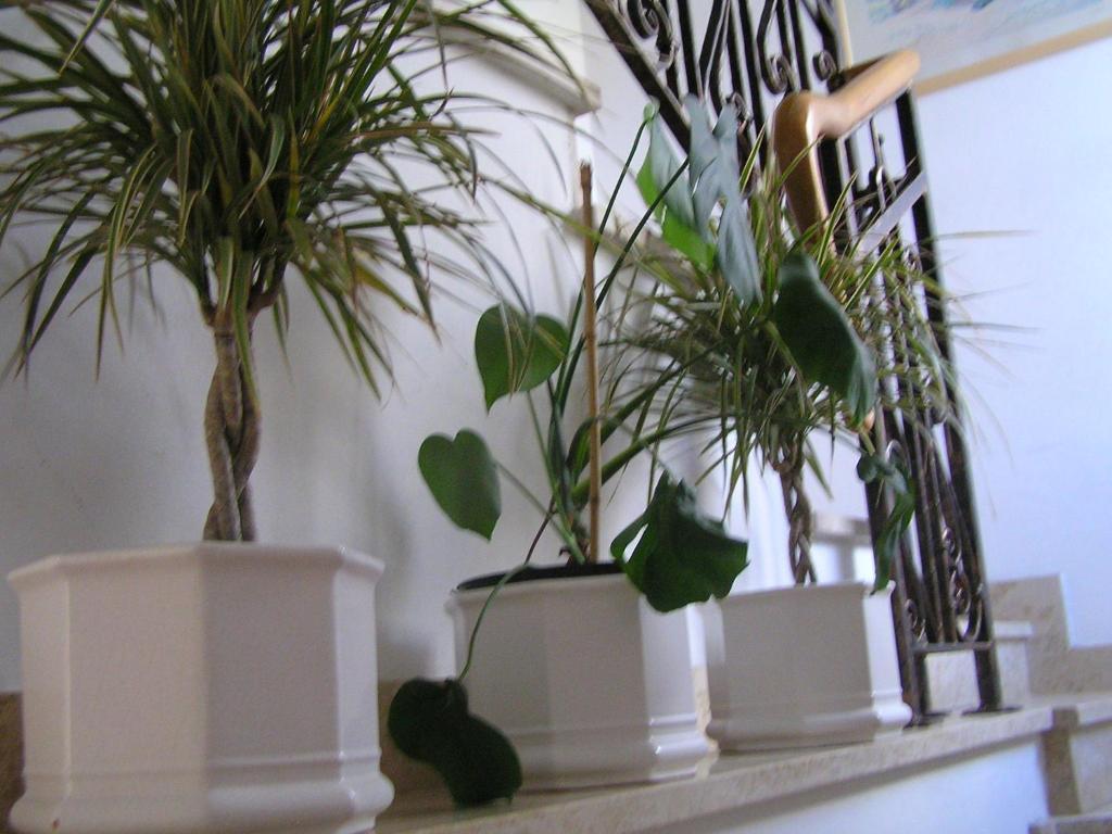 Apartments Paloma Blanca เมดูลิน ห้อง รูปภาพ