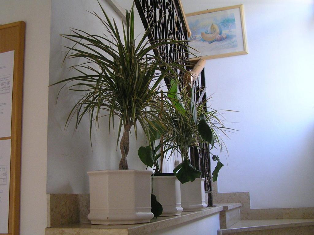 Apartments Paloma Blanca เมดูลิน ห้อง รูปภาพ